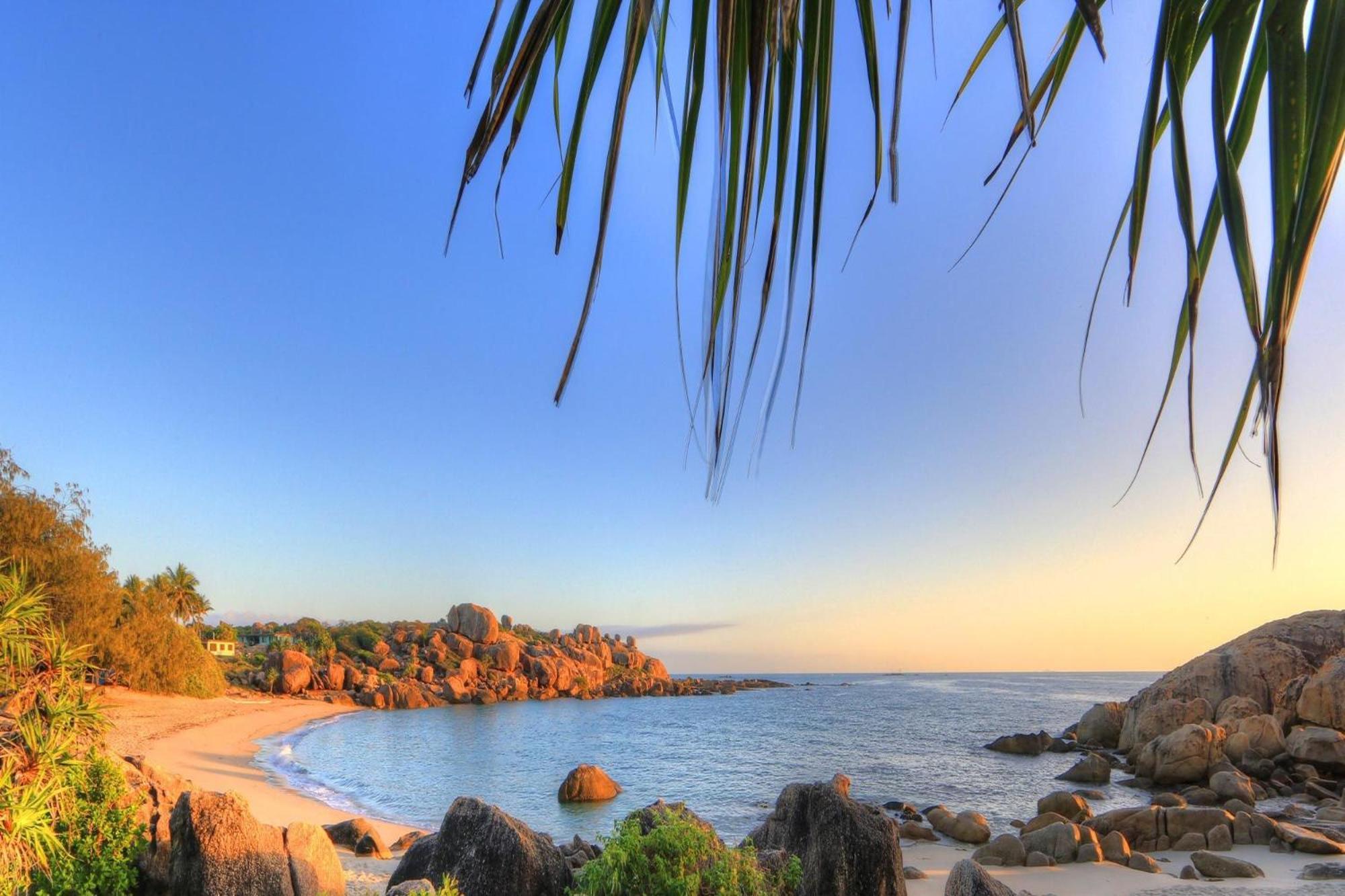 Coral Cove Apartments - Absolute Beachfront Resort Μπόουεν Εξωτερικό φωτογραφία